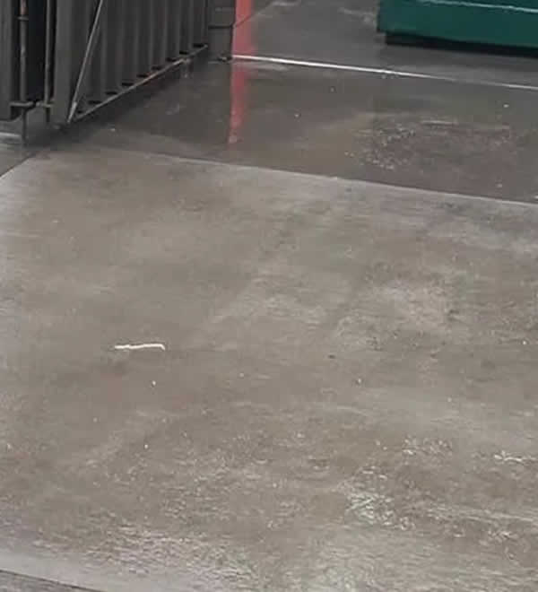 Dumpster Pad Cleaning