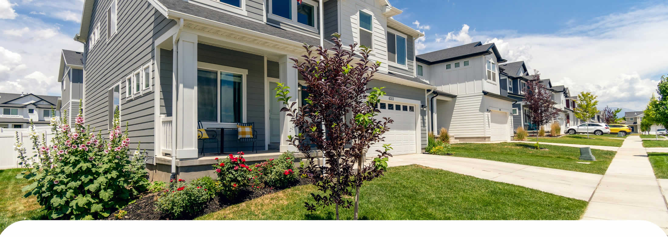 House Washing Services