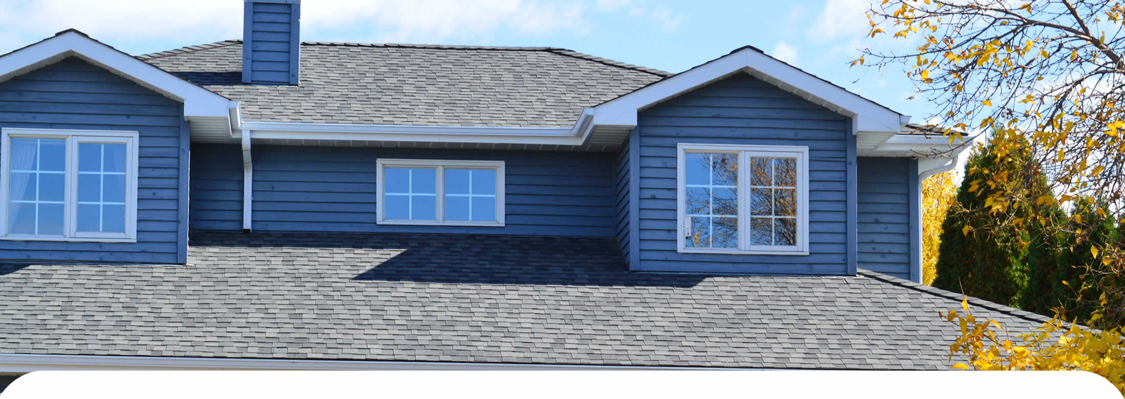 Roof Washing Services